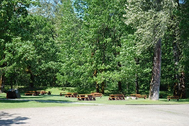 maple bay picknick site